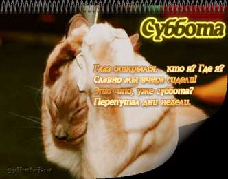 суббота Хорошего субботнего дня