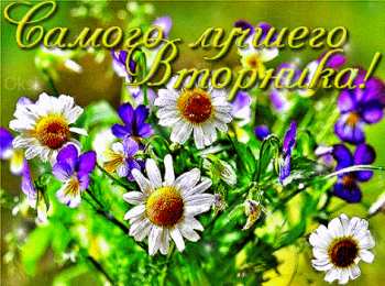 вторник вторник. с добрым вторником.