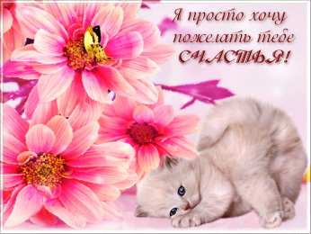 счастья счастья. открытки с пожеланием счастья