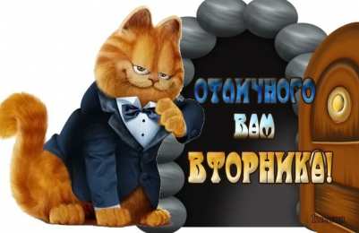 вторник вторник. с добрым вторником.