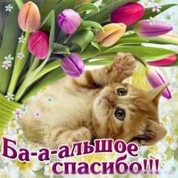 спасибо открытки спасибо, thank you, merci, благодарю тебя, большое спасибо