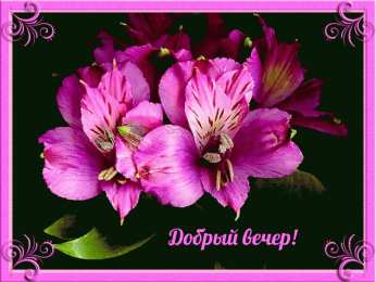 Открытки добрый вечер добрый вечер. приятного вечера. доброго вам вечера. хорошего вечера. приятного летнего вечера. отдыхайте с удовольствием .хорошего вечера, приятного общения добрый вечер. приятного вечера. доброго вам вечера. хорошего вечера. приятного летнего вечера. отдыхайте с удовольствием .хорошего вечера, приятного общения