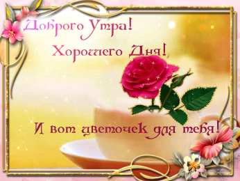 доброе утро доброе утро. открытки с добрым утром. с добрым утром. желаю доброго утра