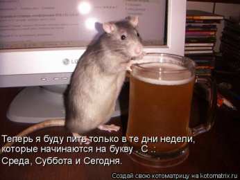 среда С веселой средой