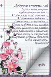 вторник вторник. с добрым вторником.