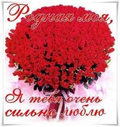 с днем рождения, любимый/любимая с днем рождения, любимый