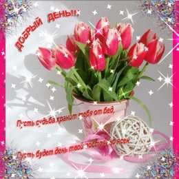 добрый день добрый день. открытки добрый день.доброго дня. хорошего дня. удачного дня