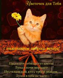 добрый вечер добрый вечер. приятного вечера. доброго вам вечера. хорошего вечера. приятного летнего вечера. отдыхайте с удовольствием .хорошего вечера, приятного общения