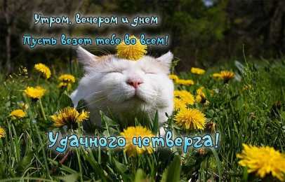 четверг Открытки про четверг