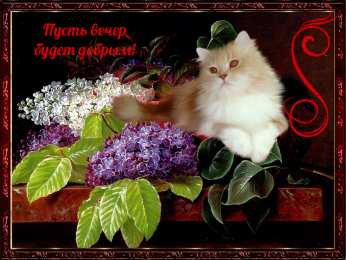 добрый вечер добрый вечер. приятного вечера. доброго вам вечера. хорошего вечера. приятного летнего вечера. отдыхайте с удовольствием .хорошего вечера, приятного общения