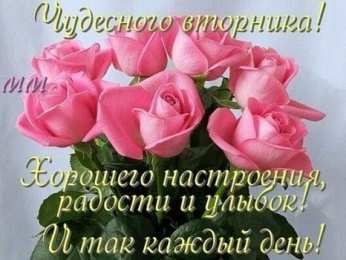 вторник вторник. с добрым вторником.