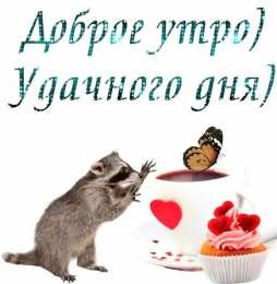 доброе утро доброе утро. открытки с добрым утром. с добрым утром. желаю доброго утра