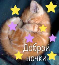 спокойной ночи спокойной ночи. открытки с пожеланием спокойной ночи. приятных снов. сладких снов. приятных сновидений. доброй ночи. нежных снов. волшебных снов. спите сладко 