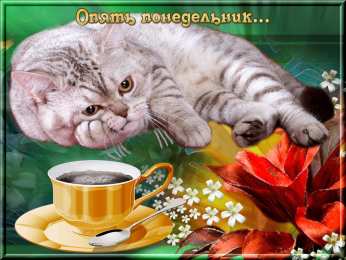 понедельник понедельник. открытки к понедельнику. опять понедельник. легкого