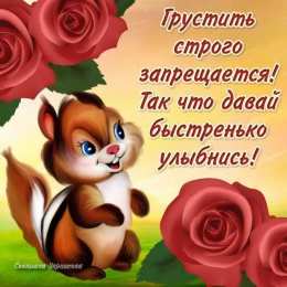 не грусти, не скучай не грусти. не скучай. все будет хорошо. улыбнись. все пройдет