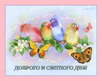 добрый день добрый день. открытки добрый день.доброго дня. хорошего дня. удачного дня