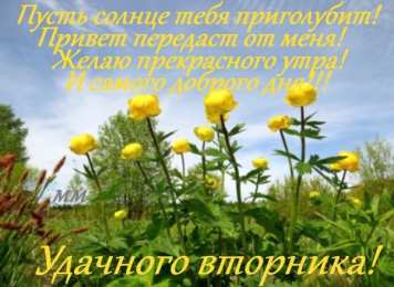 вторник вторник. с добрым вторником.