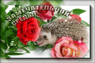 среда С веселой средой