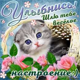 улыбнись улыбнись. улыбайся. smile. улыбка. улыбайся и мир улыбнется тебе