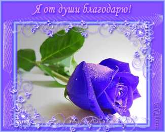 спасибо открытки спасибо, thank you, merci, благодарю тебя, большое спасибо