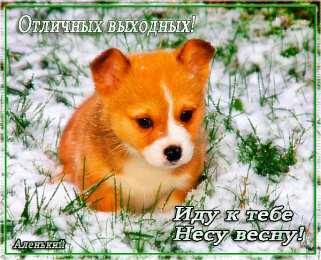 приятных выходных Приятных выходных