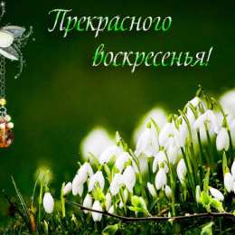 воскресенье Счастливого воскресенья