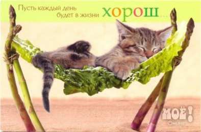 приятных выходных Приятных выходных