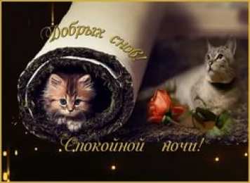 Открытки спокойной ночи спокойной ночи. открытки с пожеланием спокойной ночи. приятных снов. сладких снов. приятных сновидений. доброй ночи. нежных снов. волшебных снов. спите сладко  спокойной ночи. открытки с пожеланием спокойной ночи. приятных снов. сладких снов. приятных сновидений. доброй ночи. нежных снов. волшебных снов. спите сладко 