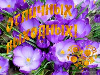 приятных выходных Приятных выходных