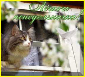 понедельник понедельник. открытки к понедельнику. опять понедельник. легкого