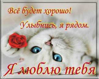 любимым открытки любимым с любовью. я тебя люблю. i love you. люблю больше жизни