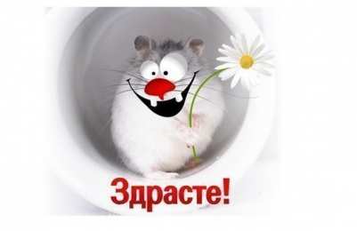  привет открытки привет, как дела. как настроение. пожелание хорошего дня