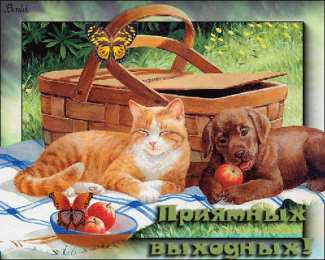 приятных выходных Приятных выходных