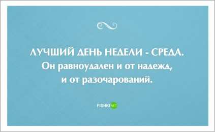 среда С веселой средой