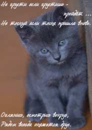 Открытки не грусти, не скучай не грусти. не скучай. все будет хорошо. улыбнись. все пройдет не грусти. не скучай. все будет хорошо. улыбнись. все пройдет