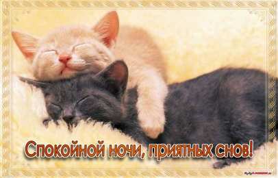 Открытки спокойной ночи спокойной ночи. открытки с пожеланием спокойной ночи. приятных снов. сладких снов. приятных сновидений. доброй ночи. нежных снов. волшебных снов. спите сладко  спокойной ночи. открытки с пожеланием спокойной ночи. приятных снов. сладких снов. приятных сновидений. доброй ночи. нежных снов. волшебных снов. спите сладко 