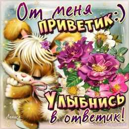  привет открытки привет, как дела. как настроение. пожелание хорошего дня