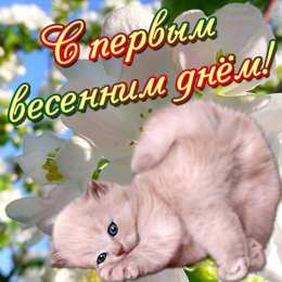 с первым днем весны Весенние открытки