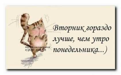 вторник вторник. с добрым вторником.