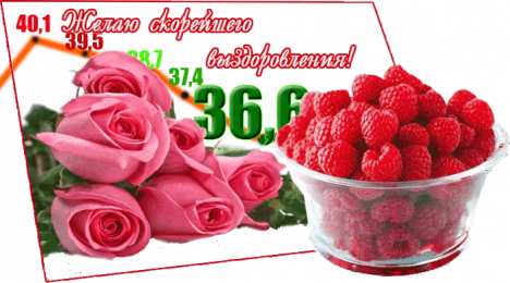 Открытки выздоравливай выздоравливай. желаю скорейшего выздоровления. не болей выздоравливай. желаю скорейшего выздоровления. не болей