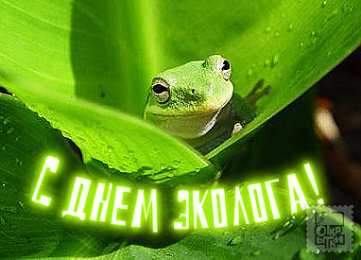 день эколога день эколога. открытки к празднику