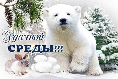 среда С веселой средой