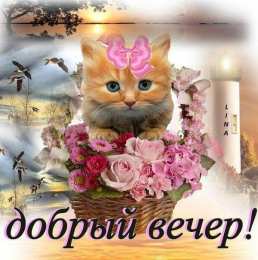 добрый вечер добрый вечер. приятного вечера. доброго вам вечера. хорошего вечера. приятного летнего вечера. отдыхайте с удовольствием .хорошего вечера, приятного общения