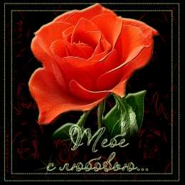 с любовью открытки с любовью, с любовью для тебя,