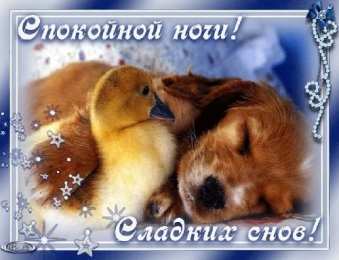 Открытки спокойной ночи спокойной ночи. открытки с пожеланием спокойной ночи. приятных снов. сладких снов. приятных сновидений. доброй ночи. нежных снов. волшебных снов. спите сладко  спокойной ночи. открытки с пожеланием спокойной ночи. приятных снов. сладких снов. приятных сновидений. доброй ночи. нежных снов. волшебных снов. спите сладко 