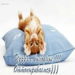 приятных выходных Приятных выходных