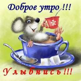 доброе утро доброе утро. открытки с добрым утром. с добрым утром. желаю доброго утра