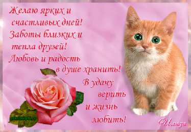 счастья счастья. открытки с пожеланием счастья