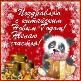 Китайский новый год Картинки на китайский новый год