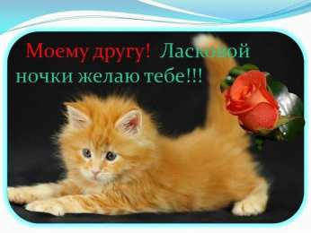 Открытки спокойной ночи спокойной ночи. открытки с пожеланием спокойной ночи. приятных снов. сладких снов. приятных сновидений. доброй ночи. нежных снов. волшебных снов. спите сладко  спокойной ночи. открытки с пожеланием спокойной ночи. приятных снов. сладких снов. приятных сновидений. доброй ночи. нежных снов. волшебных снов. спите сладко 